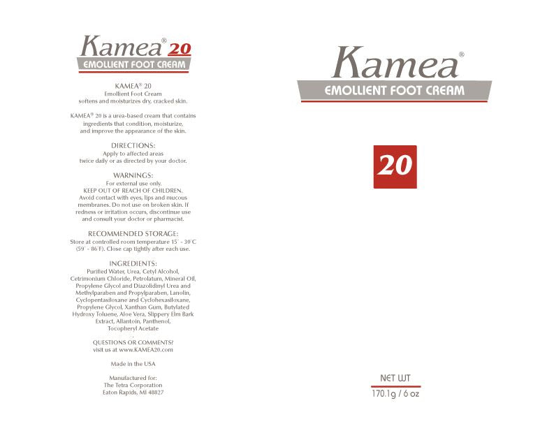 Tetra Corporation Kamea 20